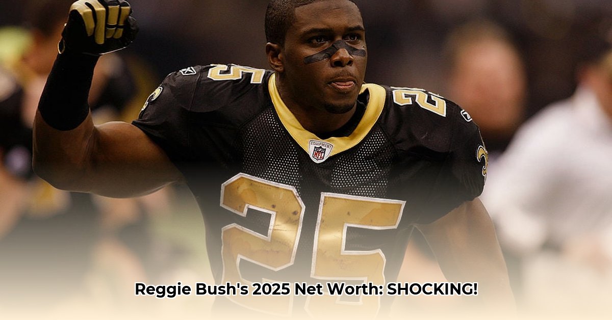 net-worth-of-reggie-bush